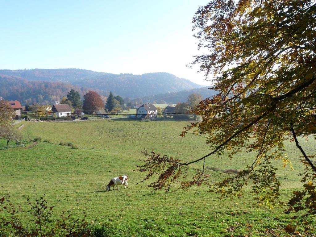 Апартаменти Locations Dupertuis Alsace Ле-Овальд Номер фото